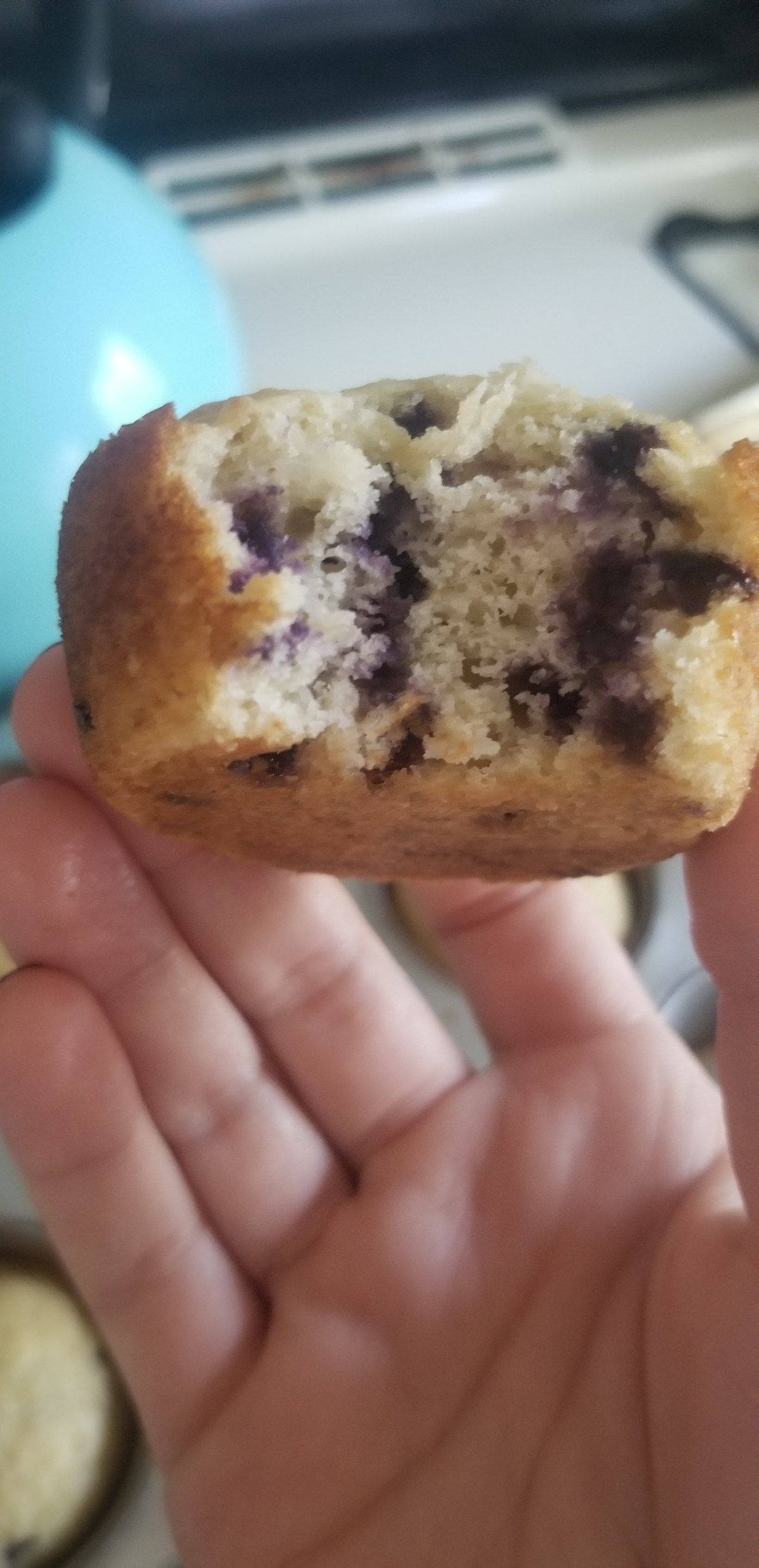 CBD Tablet Blueberry&nbsp;Muffins